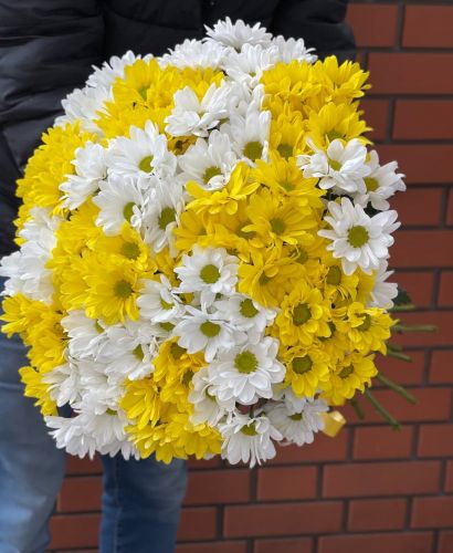 Купить букет из разноцветных хризантем с доставкой по Тольятти